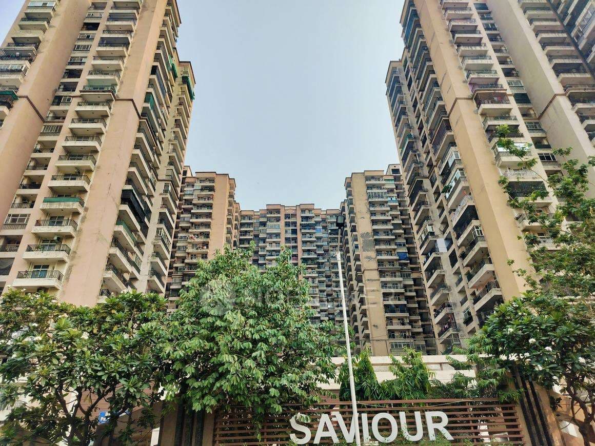 Saviour Builder